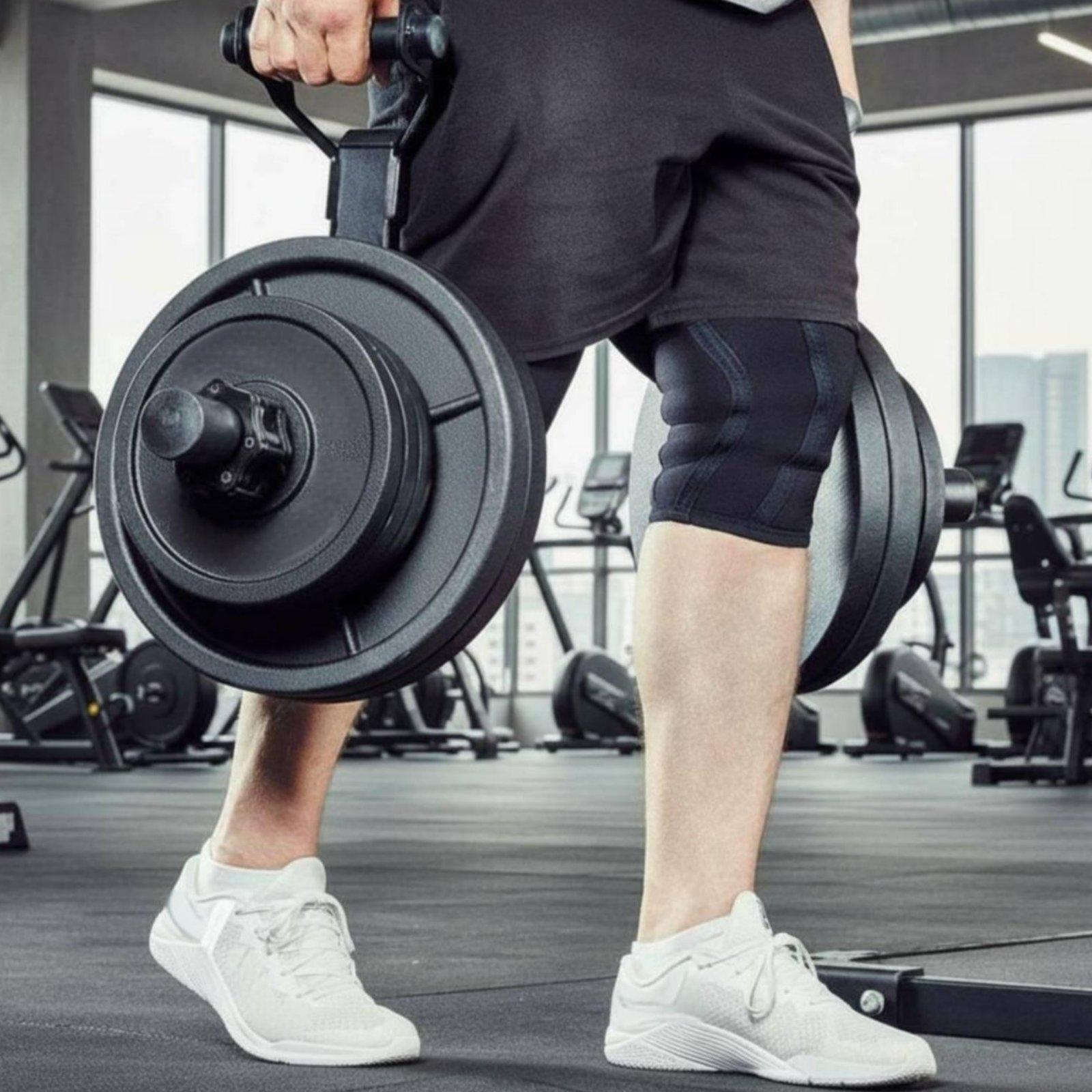 حامل أقراص الأوزان متعدد الأحج - مراجعة Home Gym Usa وسعره