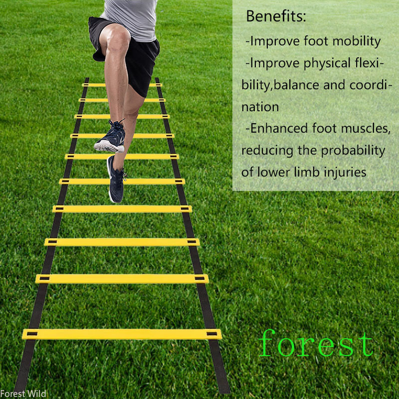 سلم الرشاقة القابل للإزالة لتد - مراجعة Agility Ladder Speed وسعره